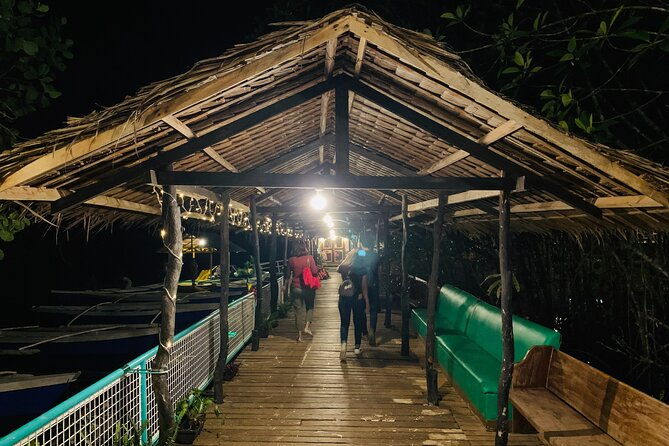Puerto Princesa Jungle River Firefly Watching - Practical Aspects to Consider