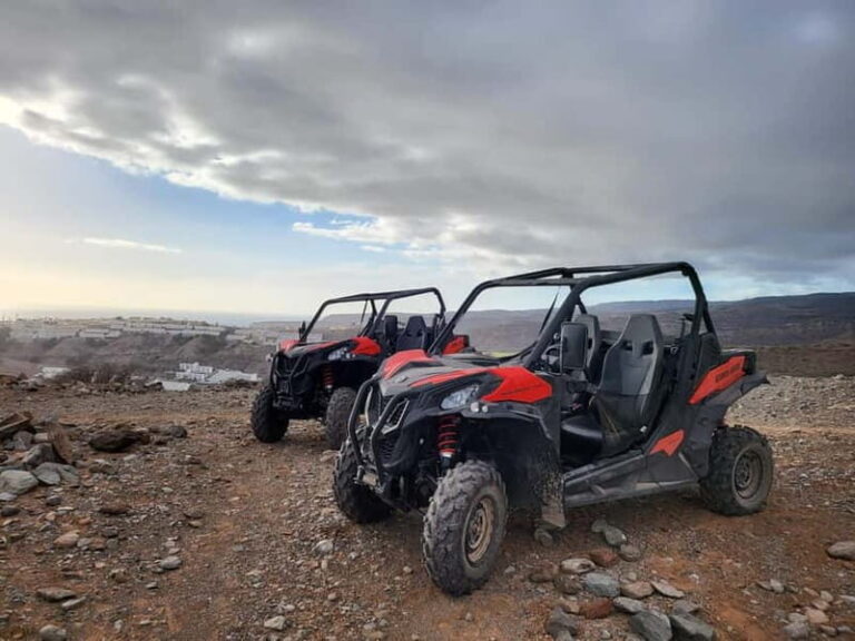 Puerto Rico de Gran Canaria: Offroad Buggy Tour - An In-Depth Look at the Offroad Buggy Tour Experience