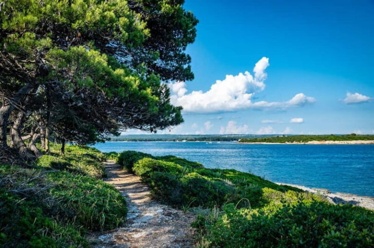 Pula: National Park Brijuni Cruise with Lunch and Drinks - The Itinerary: What to Expect on Your Day
