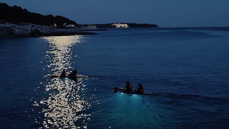 Pula: Night Tour in Transparent Kayak with Stargazing - Practical Details & Whats Included