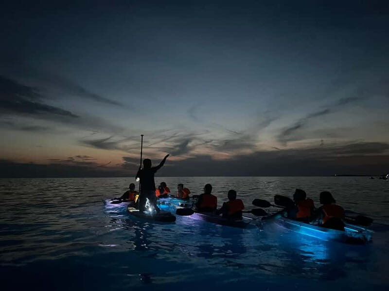 Pula: Sunset/Night Illuminated Transparent Kayak Tour - What to Expect on the Tour