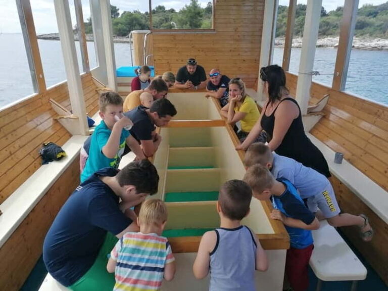 Pula Verudela: Glass-Bottom Boat and Swim with Fish Tour - The Experience in Detail