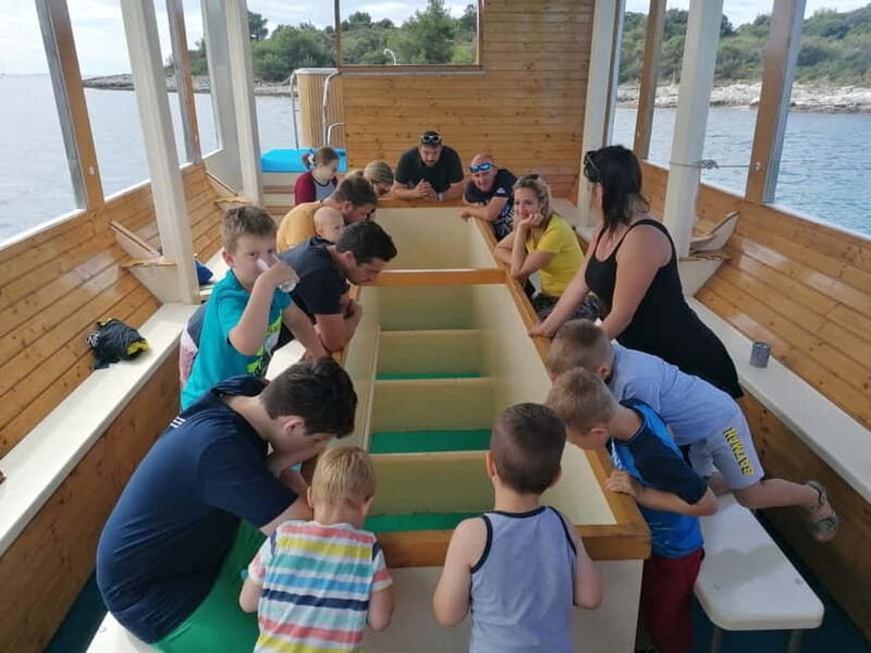 Pula Verudela: Glass-Bottom Boat and Swim with Fish Tour - The Experience in Detail