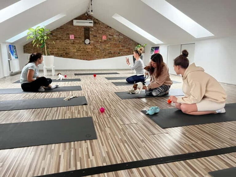 Puppy Yoga in Riga - What Makes Puppy Yoga in Riga Special