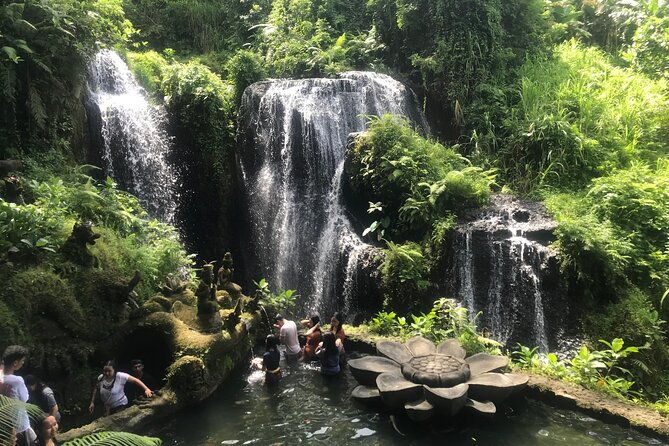 Purification Holy Bath at Beji Gria Waterfall - Purification Holy Bath at Beji Griya Waterfall: A Deep Dive into Bali’s Sacred Water Ritual