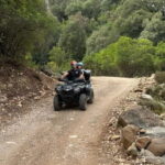 Quad bike excursion: Full day in Cala Sisine - Who Will Love This Experience?
