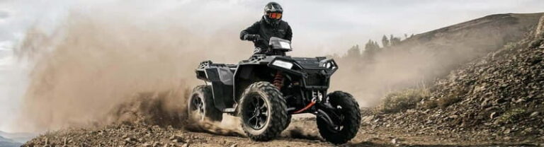 Quad Bike Safari on Tundra - Scenic Highlights and Wildlife Encounters