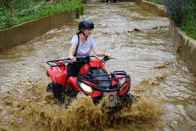Quad Ride and Ubud Tour - Key Points  