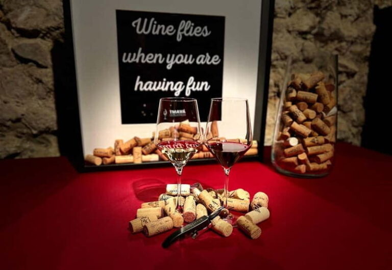 Quick Wine Tasting in Michalská - The Heart of the Experience: What to Expect
