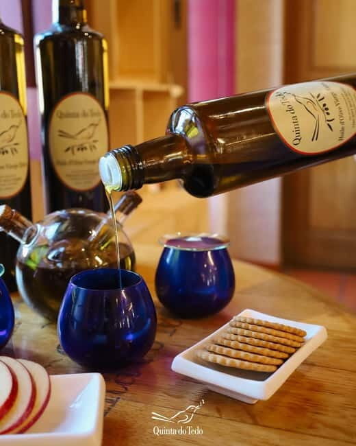 Quinta do Tedo: Olive Oil Tasting - In-Depth Look at the Itinerary