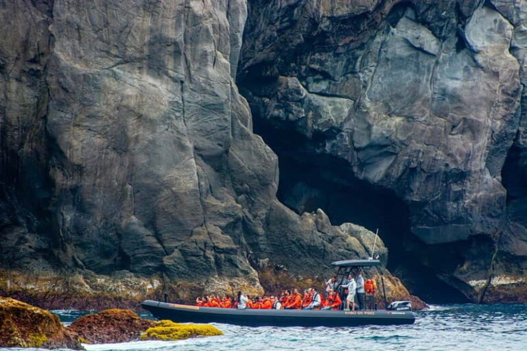 Rabo de Peixe - Porto Formoso & Santa Iria Super Expedition - The Highlights in Detail