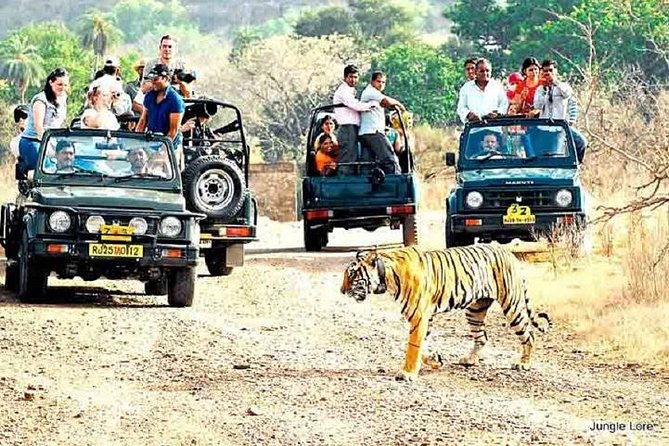 Ranthambore Wildlife Safari with Tickets & Transfer Options - Introduction