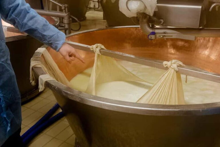 Reggio Emilia: Local Cheese Tasting & Tortelli Cooking Class - Frequently Asked Questions
