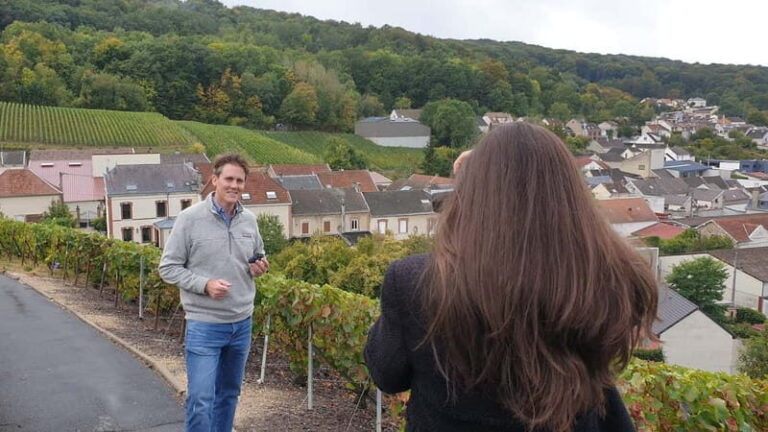 Reims : Discovery Small producers Champagne Day tour - The Value and Who It Fits Best