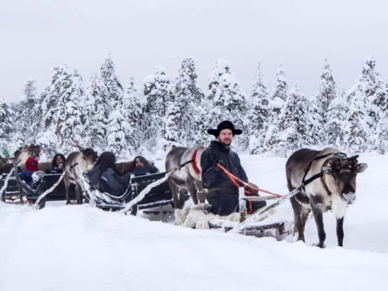 Reindeer Safari at a 200-Year-Old Farm & Long Sled Ride - The Highlights: What Makes This Tour Special