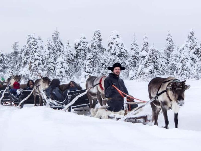 Reindeer Safari at a 200-Year-Old Farm & Long Sled Ride - The Highlights: What Makes This Tour Special
