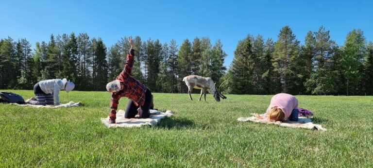 Reindeer yoga in Kuusamo - Practical Details: What You Need to Know