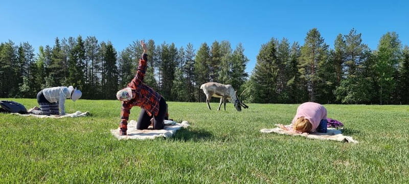 Reindeer yoga in Kuusamo - Practical Details: What You Need to Know