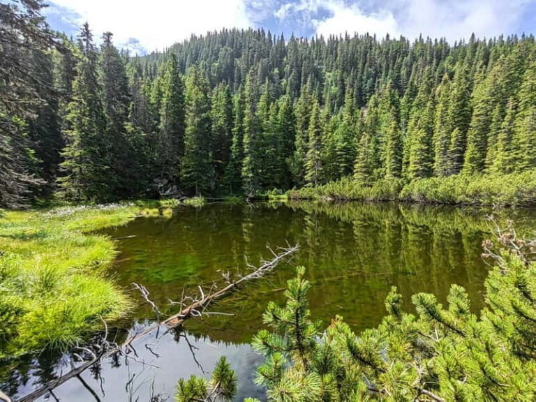 Retezat National Park: Full day hike from Cluj Napoca - The Experience in Detail