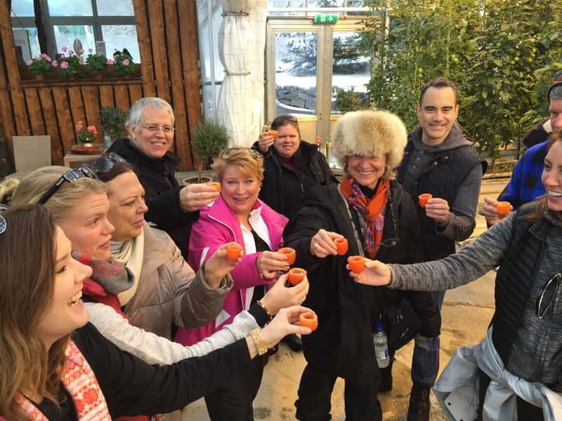 Reykjavik: Golden Circle, Fridheimar, & Sky Lagoon Day Trip - Sky Lagoon: Perfect End to a Busy Day