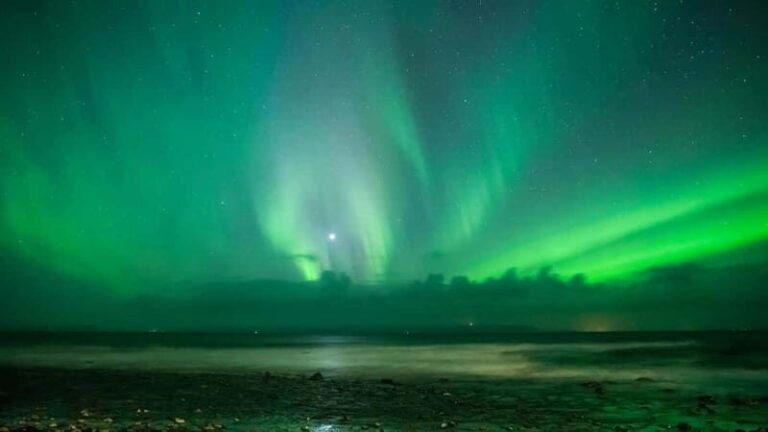 Reykjavik: Northern Lights Adventure Tour with Hot Chocolate - The Real-World Value & How It Plays Out