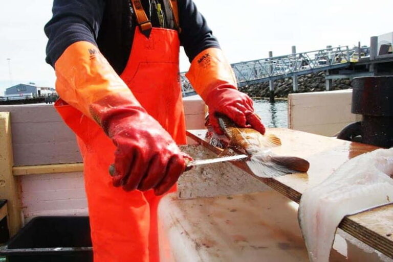 Reykjavik: Traditional Sea Fishing with BBQ Feast - Why This Tour Is a Great Choice