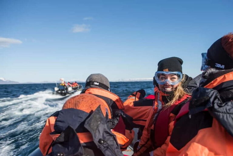 Reykjavik: Whale and Puffin Watching RIB Boat Tour - What Makes This Tour Stand Out?