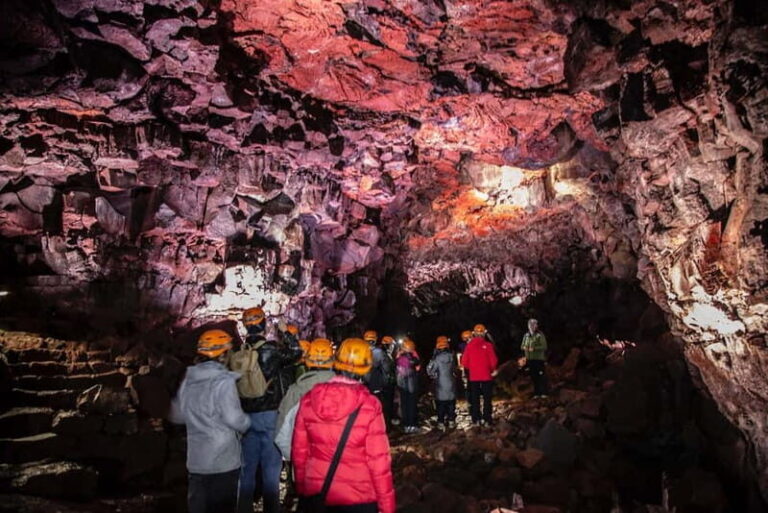 Reykjavik: Whale Watching and Lava Tunnel Combo Tour - What To Expect: Practical Details