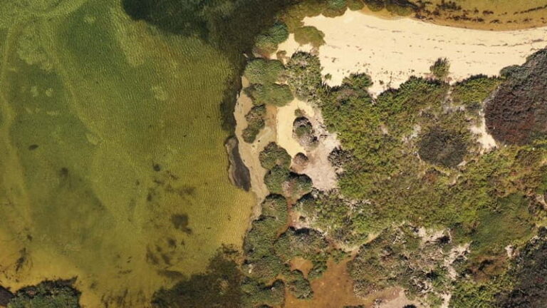 Ria Formosa: Armona and Culatra Islands 3-Hour Boat Tour - Who Is This Tour Best Suited For?