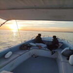 Ria Formosa Bout Tour with sunset - Olhão - An Up-Close Look at the Experience
