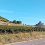 Ribera del Duero Tour: Three Wineries & Lunch from Madrid - A Closer Look at the Itinerary
