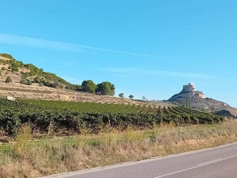 Ribera del Duero Tour: Three Wineries & Lunch from Madrid - A Closer Look at the Itinerary