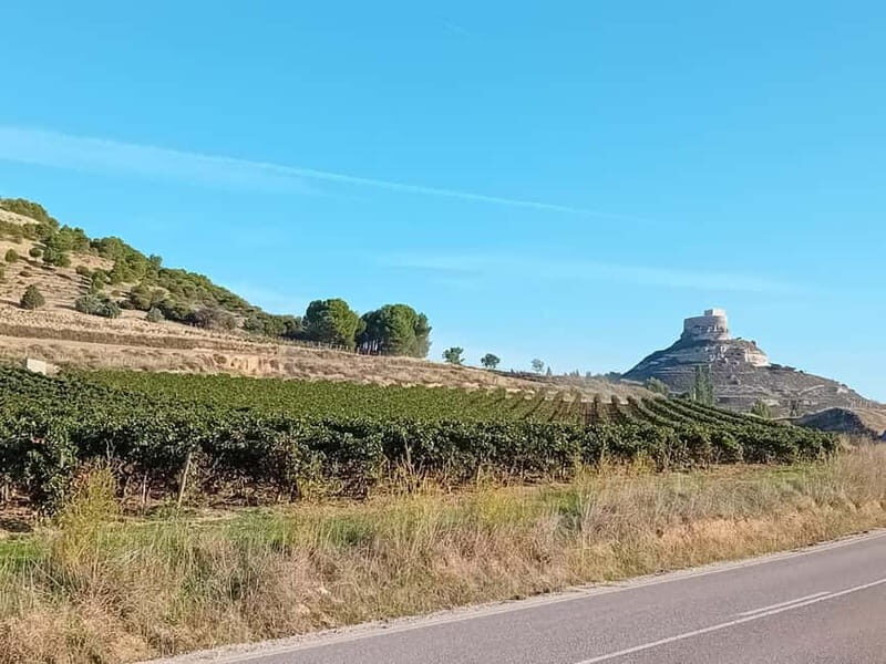 Ribera del Duero Tour: Three Wineries & Lunch from Madrid - A Closer Look at the Itinerary