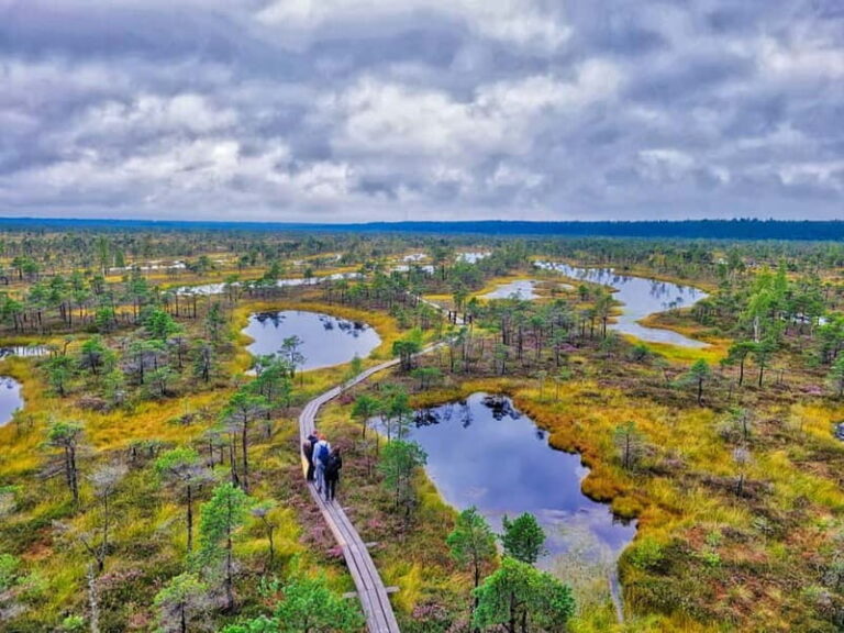Riga: Best of Kemeri National Park In One Day - Practical Details and What to Expect