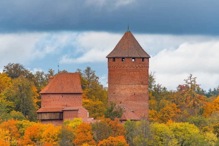 Riga: Private Sigulda, Turaida, and Gauja National Park Tour - The Experience in Practice: From Comfort to Culture