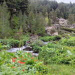 Rilska skakavitsa waterfall hiking tour - An Authentic Hike in Bulgaria’s Scenic Rila Mountains