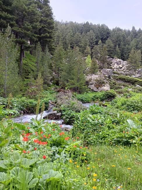 Rilska skakavitsa waterfall hiking tour - An Authentic Hike in Bulgaria’s Scenic Rila Mountains