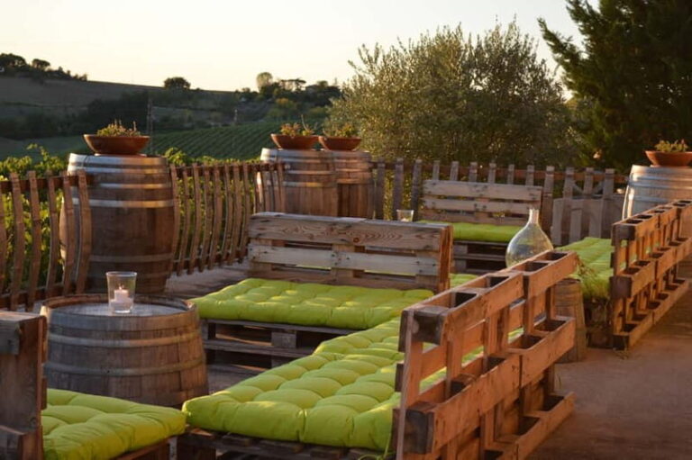 Rimini: San Valentino DOC Wine Tastings - The Itinerary: From Vineyard to Glass