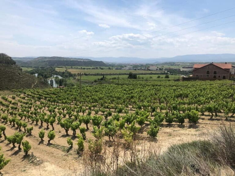 Rioja Day Tour: Explore Three Wineries with Tastings - The Itinerary Breakdown: What You Can Expect
