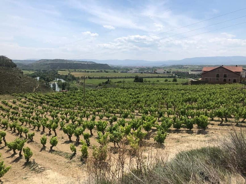 Rioja Day Tour: Explore Three Wineries with Tastings - The Itinerary Breakdown: What You Can Expect