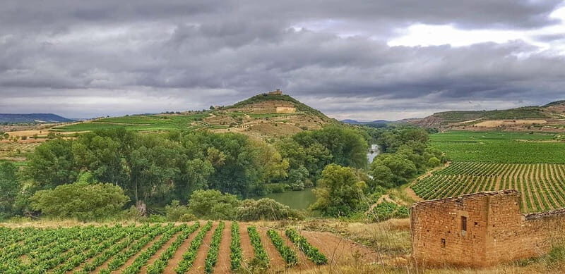 RIOJA: WINE TOUR WITH A WINERY OWNER
