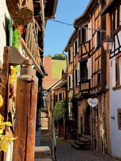 Riquewihr: the pearl of the vineyards with a local guide and tastings
