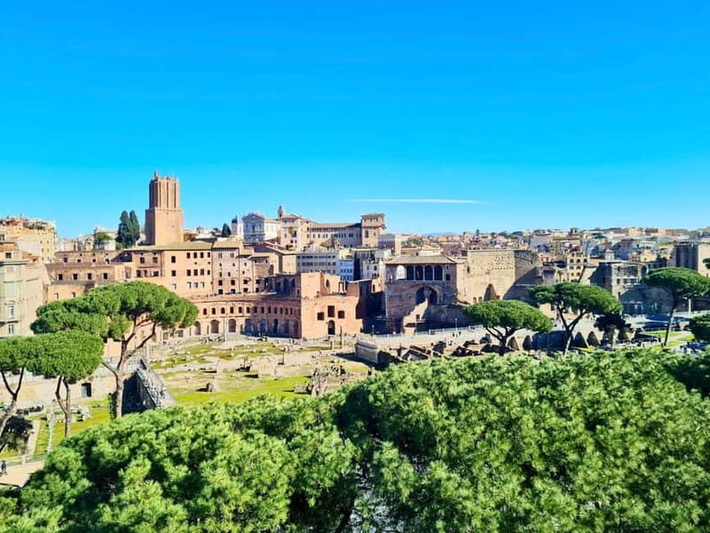 Rome: Colosseum & Forum with AudioGuide App + Optional Arena - Real Experiences and Practical Insights from Reviewers