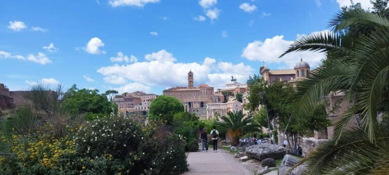 Rome: Colosseum, Roman Forum, & Palatine Hill Guided Tour - The Practical Side: Logistics and Value