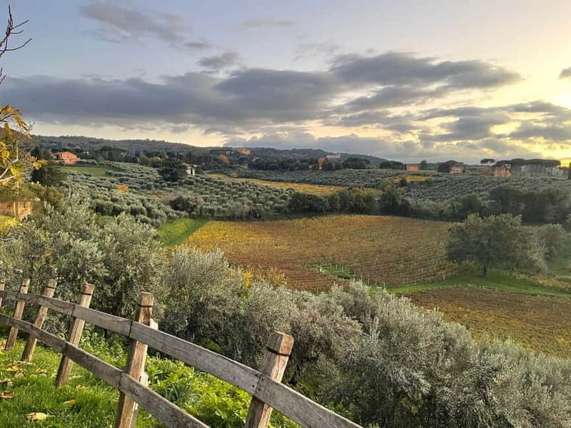 Rome Countryside: Wine Tasting Tour with Private Driver - Why This Tour Offers Genuine Value