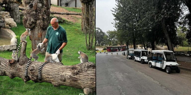 Rome: Entrance ticket to the Zoo+Tour by Golf Cart in Villa Borghese - Deep Dive: What Makes This Tour Stand Out