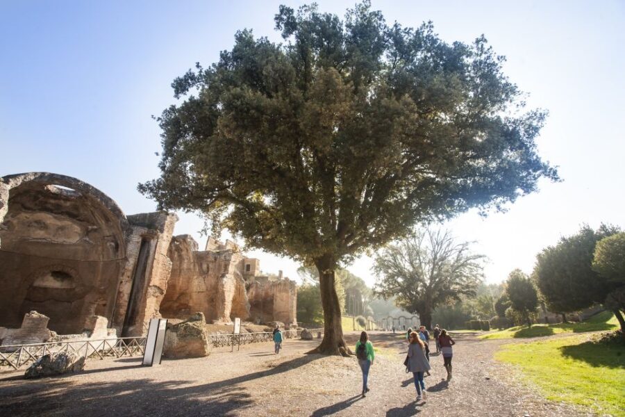 Rome: Hadrian's Villa and Villa d'Este Half-Day Tour - Who Will Love This Tour?