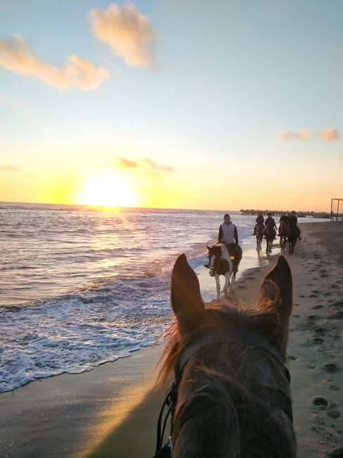 Rome on Horseback : Ancient Ostia & the beach with Aperitif - Practical Details That Matter