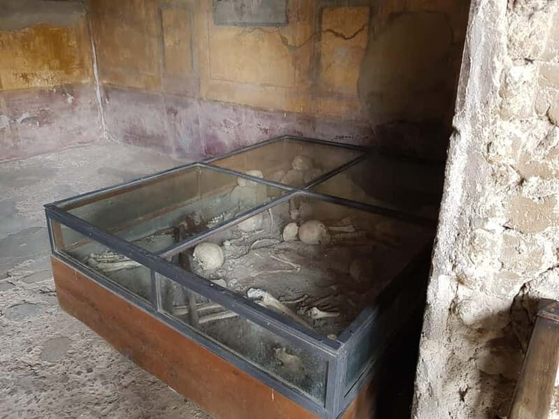 Rome to Pompeii: Transfers with Entry and Tour Guide Option - Who Is This Tour Best For?