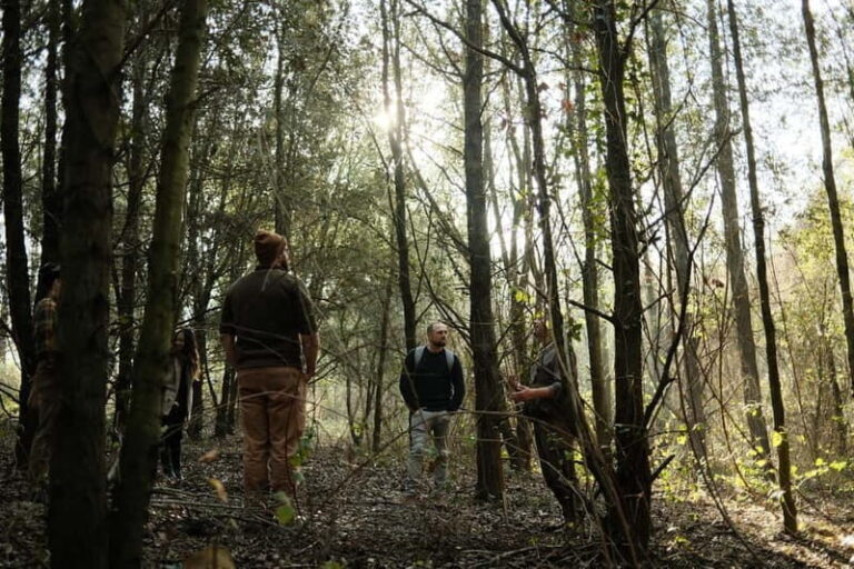 ROME: Truffle Hunting and Lunch with Truffle Dishes - The Itinerary in Detail